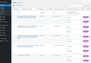 WPS AI Content Generator dans WordPress
